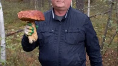 Мэр из Югры нашёл гигантский гриб 3 Мэр из Югры нашёл гигантский гриб