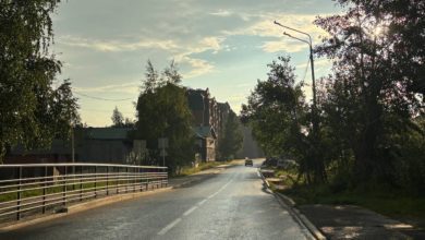 Холодный фронт с Урала достигнет Югры с первыми заморозками 5 Холодный фронт с Урала достигнет Югры с первыми заморозками