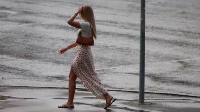 Югра 4 августа: температура до +29°C 4 Югра 4 августа: температура до +29°C