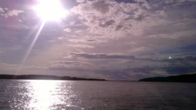 Уровень воды в Оби в районе Нижневартовска упал на 2 см за сутки