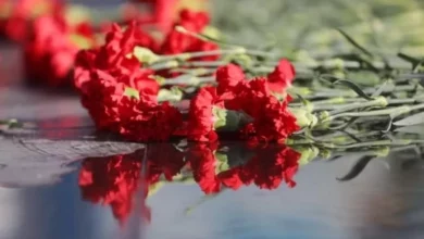 Генеративные языковые модели не обладают собственным мнением — их ответы являются обобщением информации, находящейся в 4 Генеративные языковые модели не обладают собственным мнением — их ответы являются обобщением информации, находящейся в