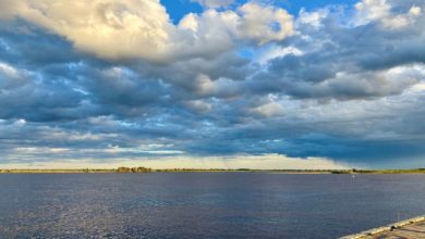 Руслан Кухарук поручил усилить мониторинг состояния водоемов в Ханты-Мансийске из-за ухудшения экологии Тюменской
