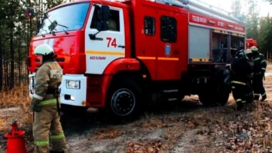 Нет действующих лесных пожаров в Югре 2 Нет действующих лесных пожаров в Югре