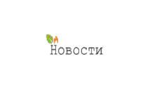 ДТП с участием нетрезвых водителей в Югре: 24 погибших за первое полугодие 2026 года