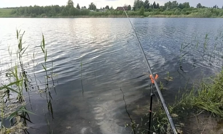 Судят югринского браконьера за улов почти 17 тонн щуки 1 Судят югринского браконьера за улов почти 17 тонн щуки