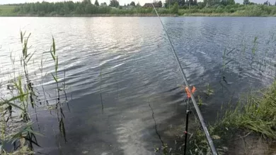 Судят югринского браконьера за улов почти 17 тонн щуки 2 Судят югринского браконьера за улов почти 17 тонн щуки