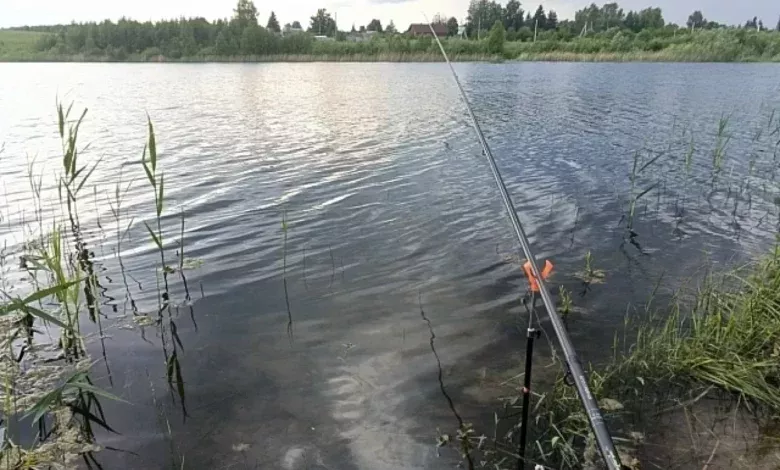 Судят югринского браконьера за улов почти 17 тонн щуки 1 Судят югринского браконьера за улов почти 17 тонн щуки