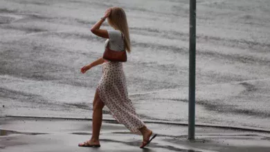 Югра 4 августа: температура до +29°C