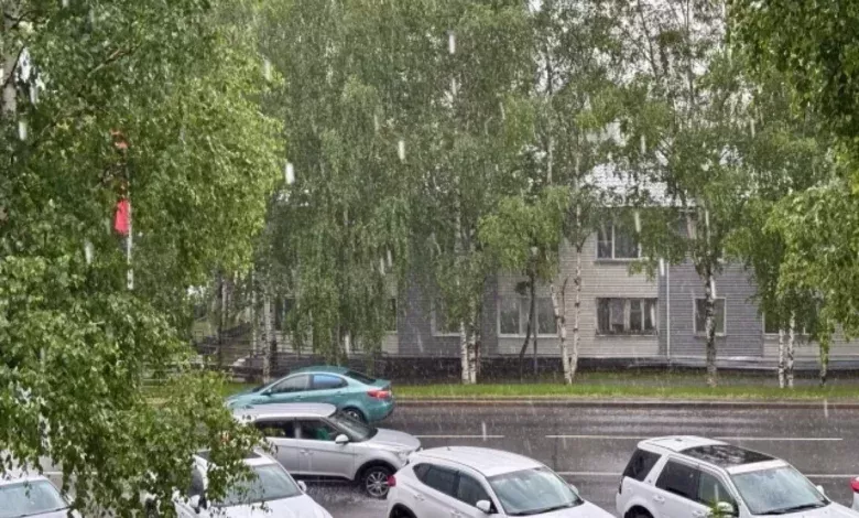 Погода в Югре на 6 августа: ожидаются дожди и гроза в Ханты-Мансийске 1 Погода в Югре на 6 августа: ожидаются дожди и гроза в Ханты-Мансийске