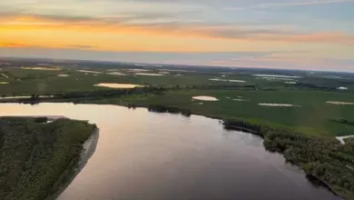 Уровень воды в Оби в районе Нижневартовска стабилизировался на отметке 320. 5 Уровень воды в Оби в районе Нижневартовска стабилизировался на отметке 320.