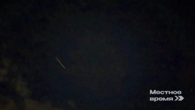 В небе над Пыть-Яхом наблюдали сотни падающих звёзд