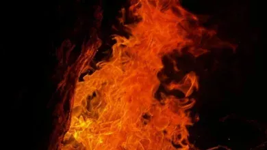 Пожары в Югре: статистика за семь месяцев 5 Пожары в Югре: статистика за семь месяцев