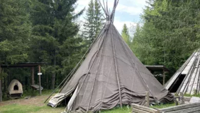В Югре отмечают праздник коренных народов 5 В Югре отмечают праздник коренных народов
