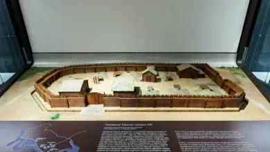 В Югре музейный центр «Барсова Гора» открывает крупнейшую коллекцию артефактов VII–IX веков 3 В Югре музейный центр «Барсова Гора» открывает крупнейшую коллекцию артефактов VII–IX веков