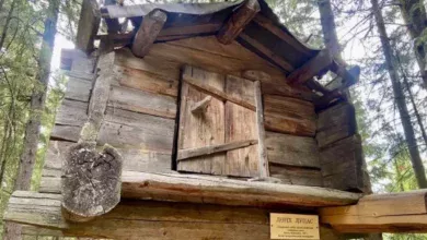 Югорчане привезли с форума богатый урожай достижений