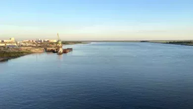 Уровень кислорода в реках Югры повысился благодаря похолоданию и дождям 2 Уровень кислорода в реках Югры повысился благодаря похолоданию и дождям