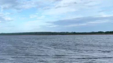 Правительство Югры обсуждает состояние рек региона