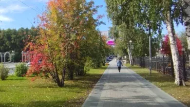 Прогноз погоды в Югре на 2 сентября 5 Прогноз погоды в Югре на 2 сентября