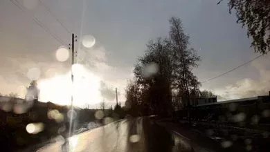 Прогноз погоды в Югре на 3 сентября