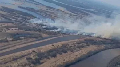 Большинство лесных пожаров в Югре вызвано ударами молний 4 Большинство лесных пожаров в Югре вызвано ударами молний