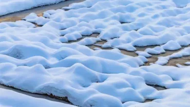 Прогноз погоды в Югре на 5 февраля 4 Прогноз погоды в Югре на 5 февраля