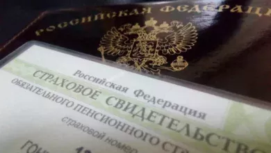 В Югре автоматически оформили СНИЛС более 16 тысячам новорожденных 2 В Югре автоматически оформили СНИЛС более 16 тысячам новорожденных
