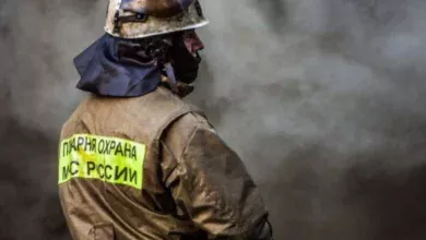 В Югре за сутки во время пожаров спасли 8 детей и 5 взрослых 8 В Югре за сутки во время пожаров спасли 8 детей и 5 взрослых