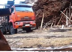 В Югре фотоловушки помогают выявлять виновников нелегальных свалок отходов лесопиления