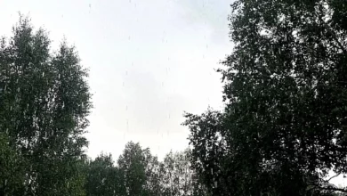 Прогноз погоды в Югре на 2 октября 6 Прогноз погоды в Югре на 2 октября