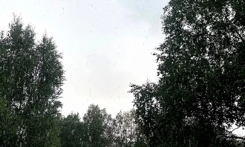 Прогноз погоды в Югре на 2 октября 1 Прогноз погоды в Югре на 2 октября