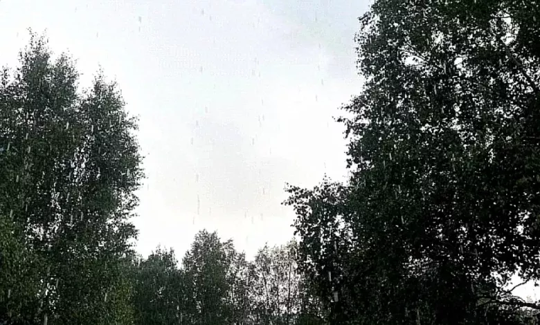 Прогноз погоды в Югре на 2 октября 1 Прогноз погоды в Югре на 2 октября